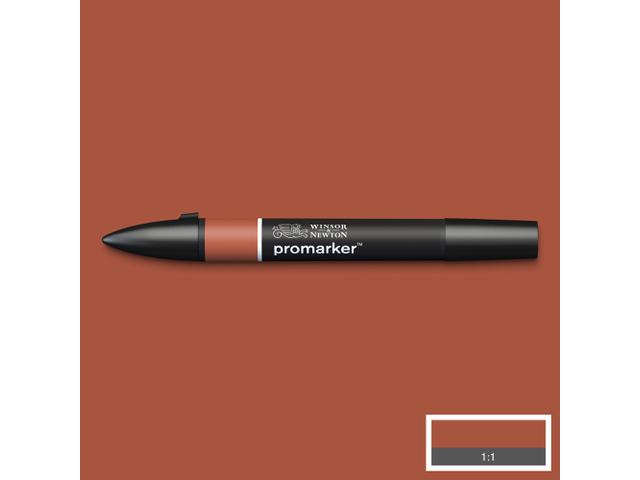 Winsor & Newton - Promarker Burnt Umber (R646) Uv 3