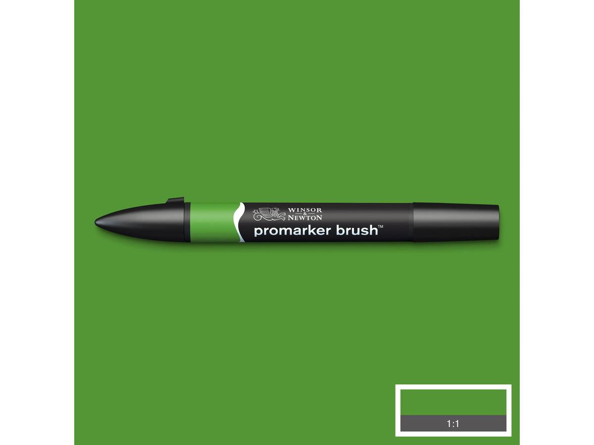 Winsor & Newton - Promarker Brush Forest Green Uv 3